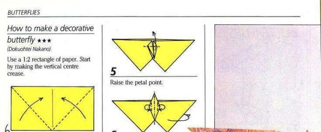 Как сделать большую бабочку из бумаги. Бабочки из бумаги своими руками (схемы, шаблоны)