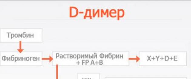 Шестой день переноса сильно завышен д димер. Д-димер при беременности: чтобы не было лишних волнений