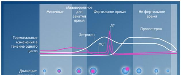 Эффективные способы планирования пола ребенка. Планирование пола по сроку овуляции