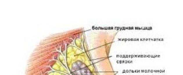 Кормление новорожденного: основные правила. Как долго нужно кормить ребенка грудью. Неправильная форма соска