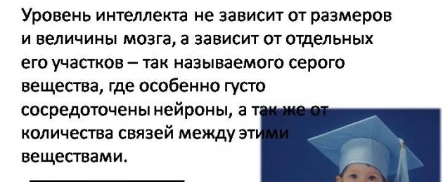 Понятие интеллекта. Что такое интеллект - признаки высокого интеллекта и самые интеллектуальные люди мира