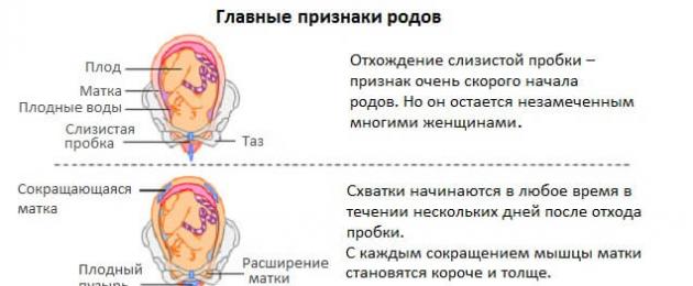 Как понять что пробка. Пробка при беременности. Отходит пробка при беременности. Пробка перед родами у первородящих. Отошла пробка перед родами у первородящих.