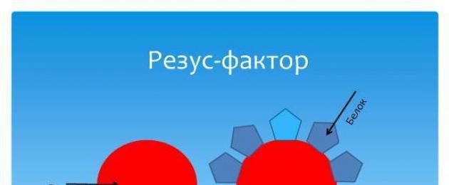 Когда бывает резус конфликт матери и ребенка. Проведение диагностических мероприятий. Под постоянным наблюдением