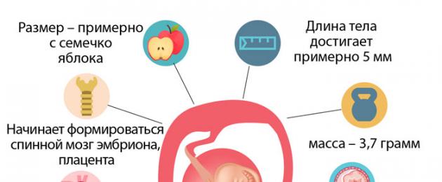 Узи на 5 ой неделе. Методика выполнения ультразвукового исследования на ранних сроках развития эмбриона. Проблемы и осложнения