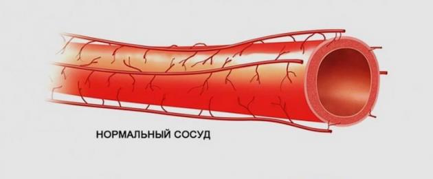 Синюшные пятна на теле. Фиолетовые пятна на ногах и руках