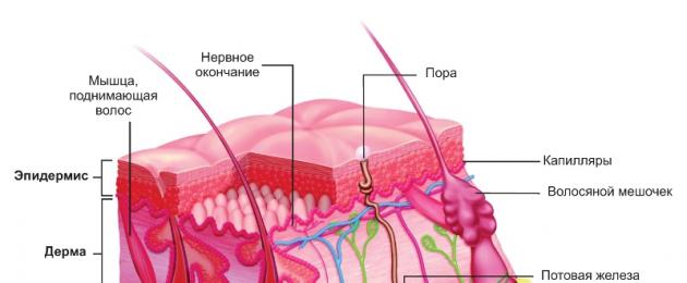 Можно ли делать химический пилинг лица. Процесс обновления кожи лица с помощью химического пилинга — отзывы, как работает и для чего нужно. Ощущения после химического пилинга