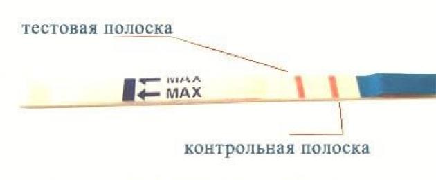 Как правильно пользоваться тестом на беременность в картинках инструкция