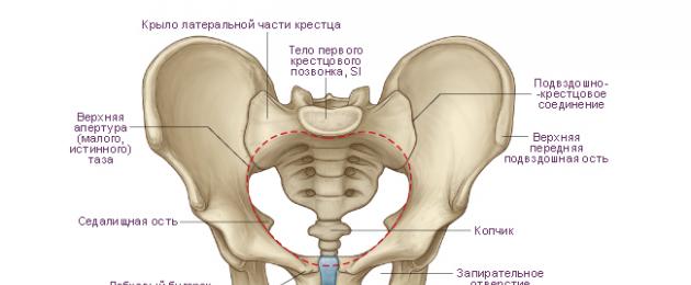 Узкий таз при беременности: размеры и классификация, возможные осложнения во время родов. Измерение размеров таза при беременности