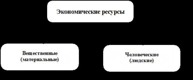 Возникновение и эволюция моногамного брака и моногамной семьи. Учебник: Психология семьи