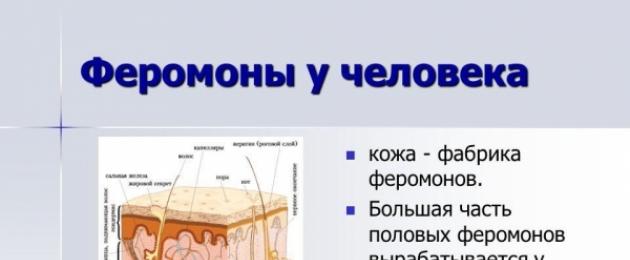 Мужские духи с феромонами: рейтинг лучших парфюмов. Действие женских духов с феромонами на мужчин