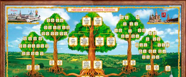 Генеалогическое дерево электронная программа. Как сделать генеалогическое дерево